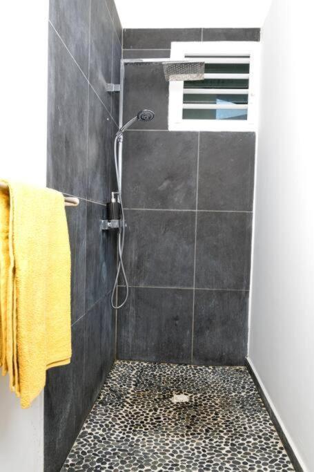 T2 Moderne Avec Piscine Oasis De Nature Et Serenite Petit-Canal Ngoại thất bức ảnh