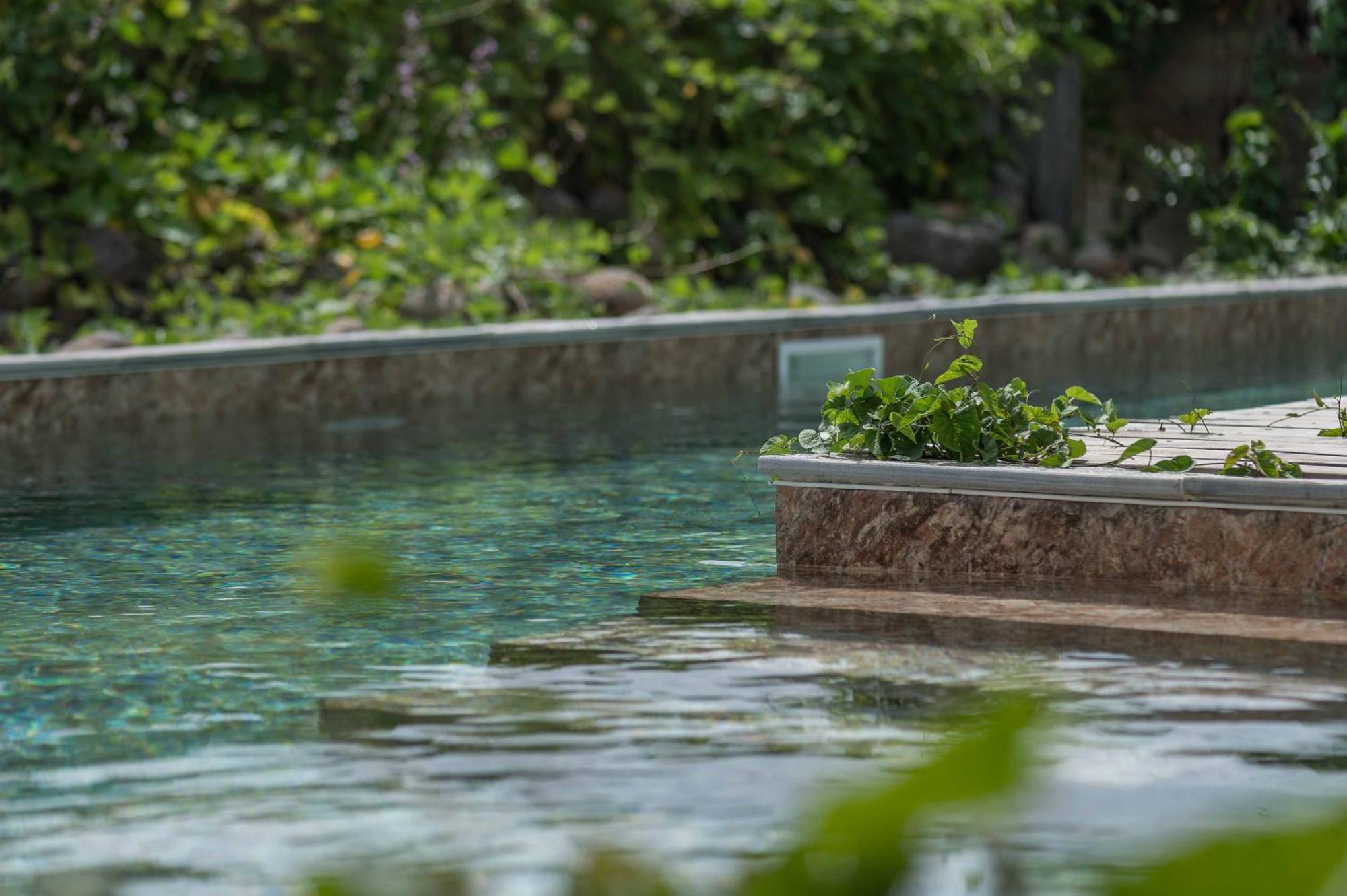 T2 Moderne Avec Piscine Oasis De Nature Et Serenite Petit-Canal Ngoại thất bức ảnh